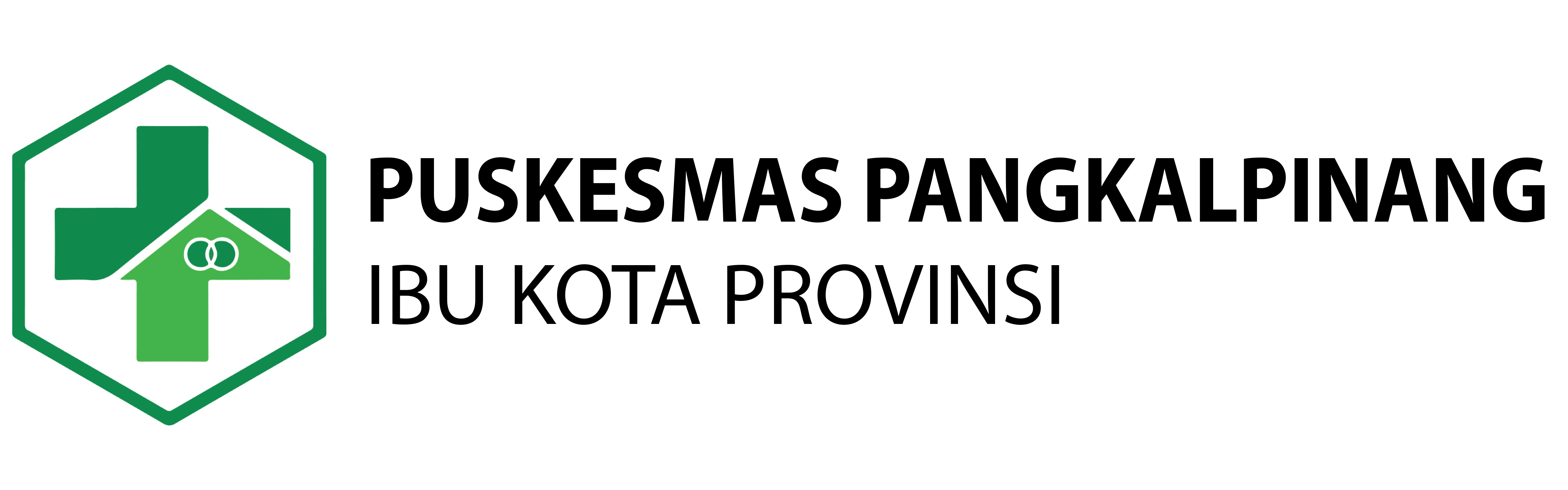 Logo Puskesmas